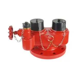 Double Booster Pump Connection