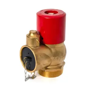Brass Tamper Proof Hydrant Head